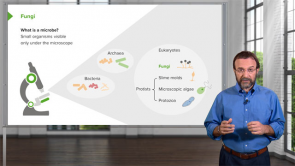 Microbiology: Introduction